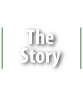 The Story